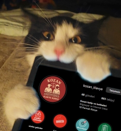MOzcan